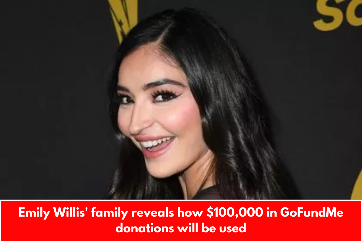 Emily Willis' family reveals how $100,000 in GoFundMe donations will be used
