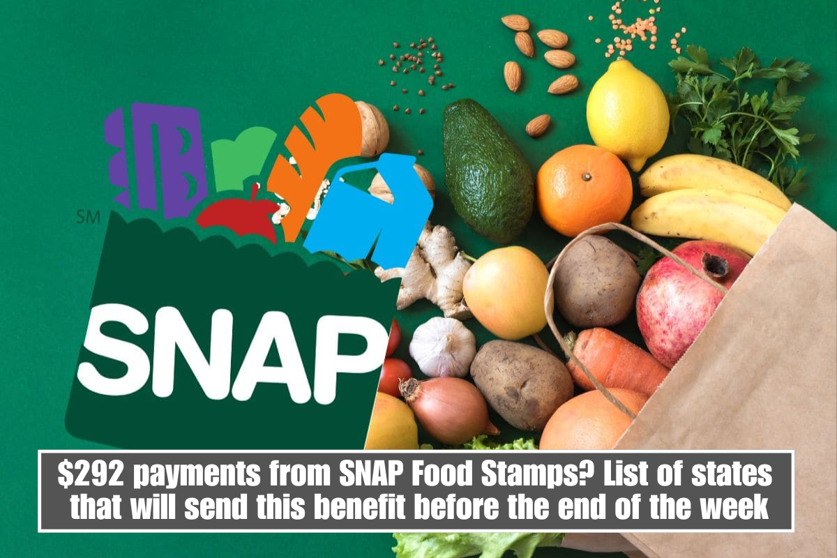 $292 payments from SNAP Food Stamps? List of states that will send this benefit before the end of the week