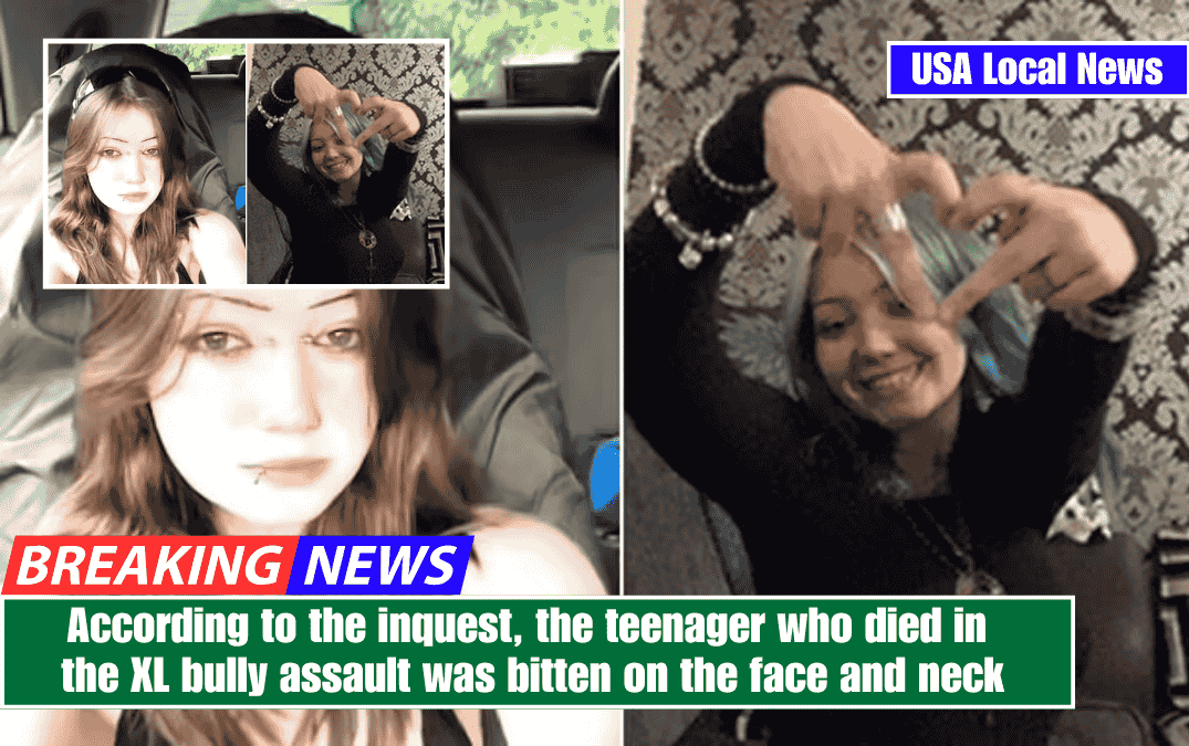 According to the inquest, the teenager who died in the XL bully assault was bitten on the face and neck