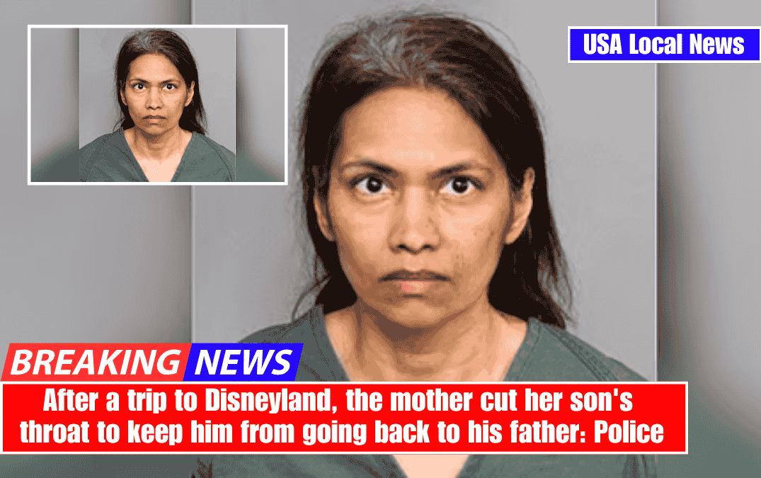 After a trip to Disneyland, the mother cut her son's throat to keep him from going back to his father: Police
