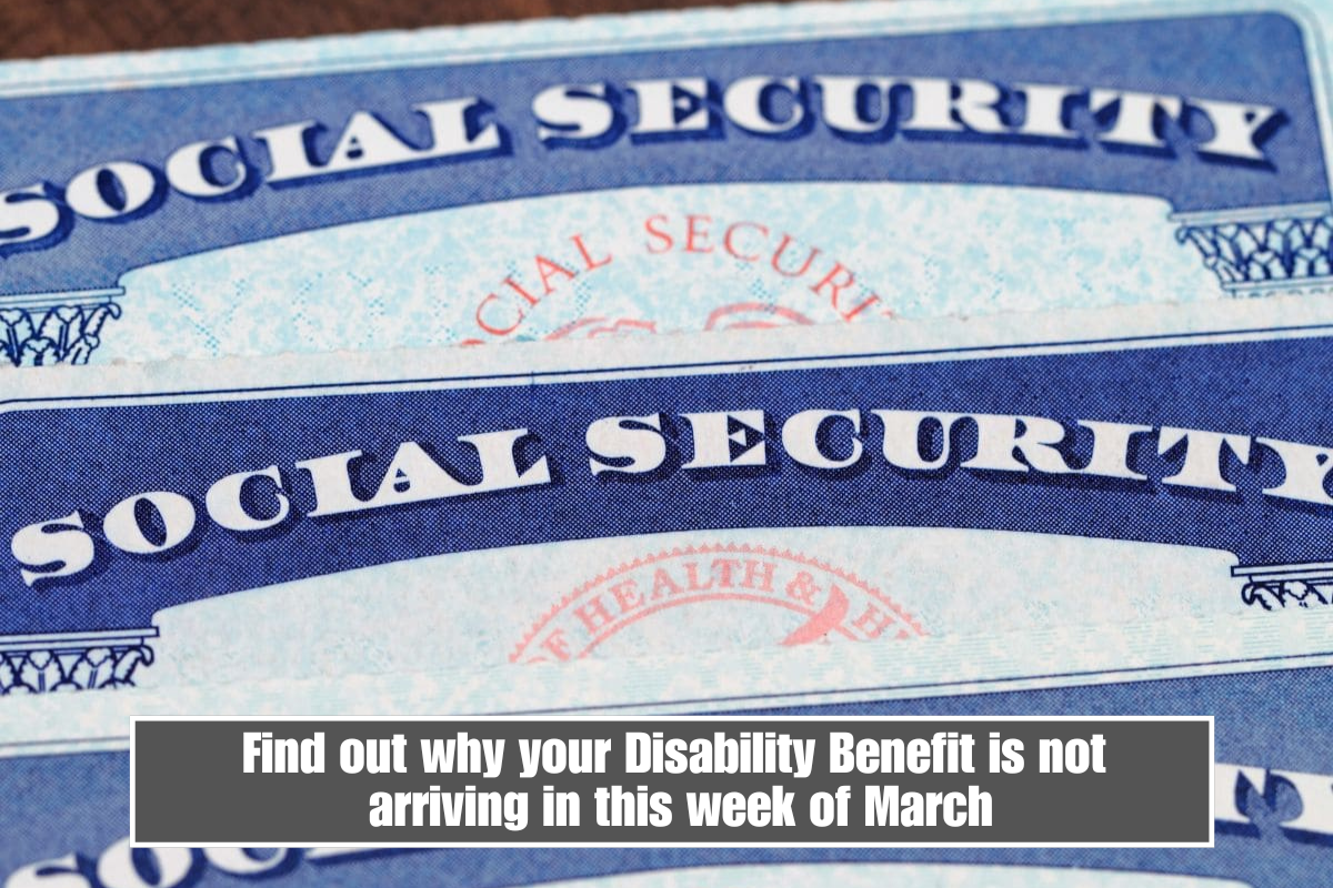 Find out why your Disability Benefit is not arriving in this week of March