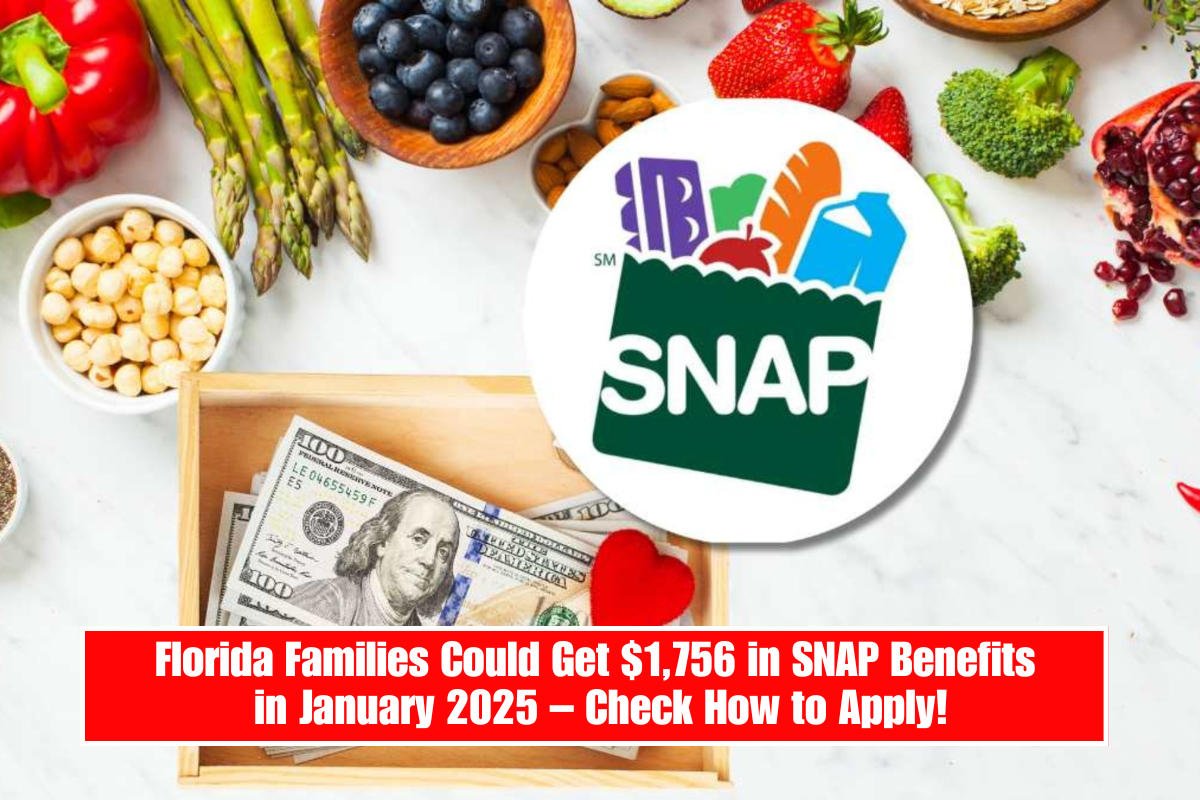Florida Families Could Get $1,756 in SNAP Benefits in January 2025 – Check How to Apply!