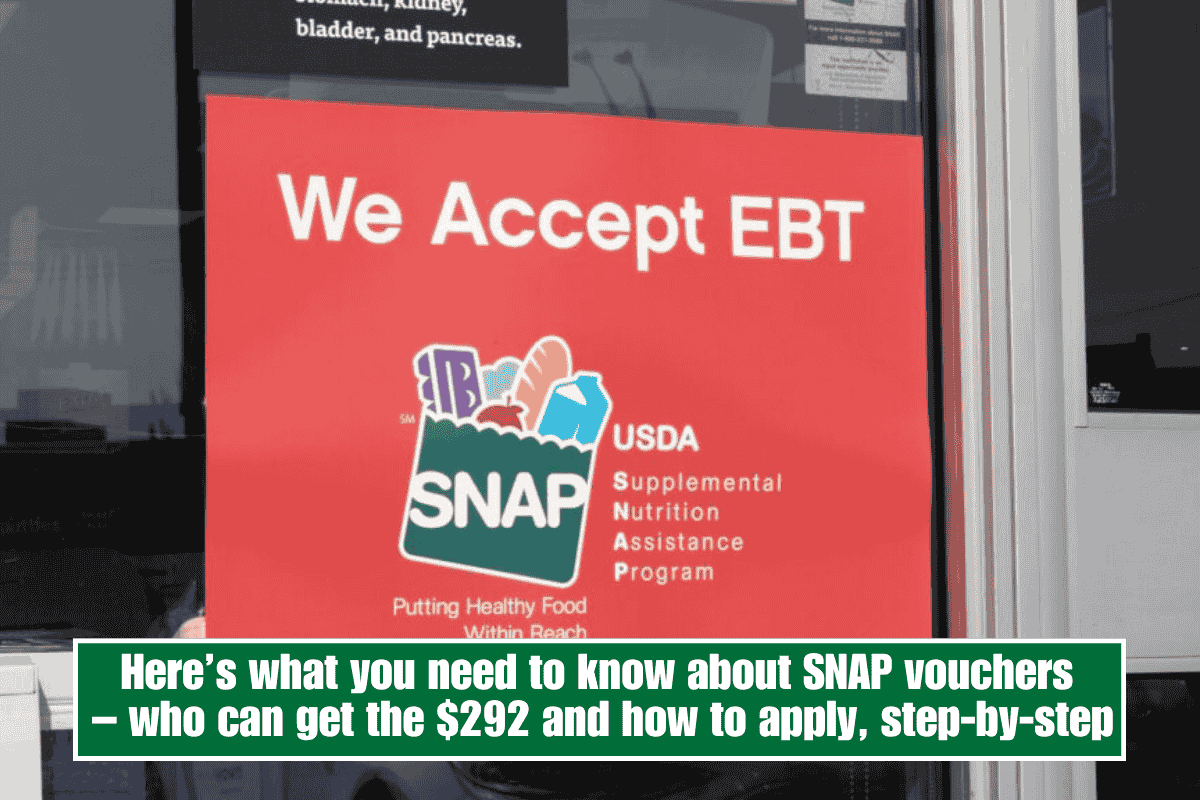 Here’s what you need to know about SNAP vouchers – who can get the $292 and how to apply, step-by-step