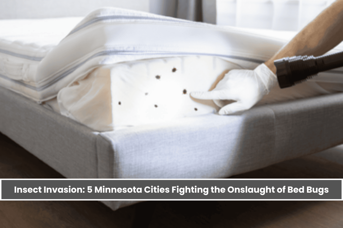 Insect Invasion: 5 Minnesota Cities Fighting the Onslaught of Bed Bugs