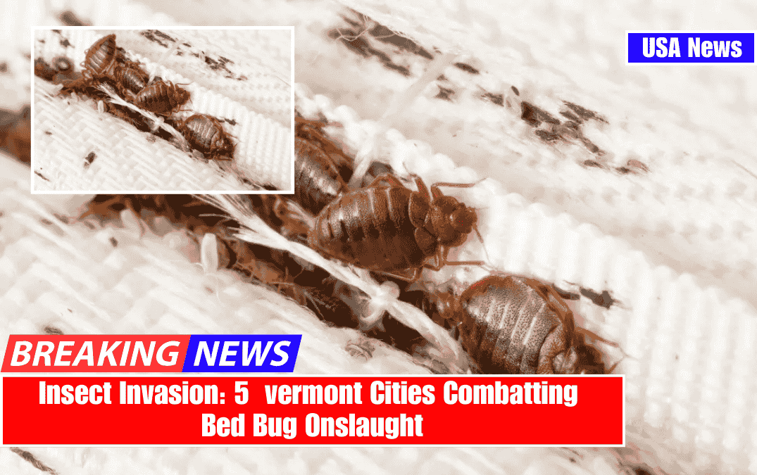 Insect Invasion: 5 vermont Cities Combatting Bed Bug Onslaught