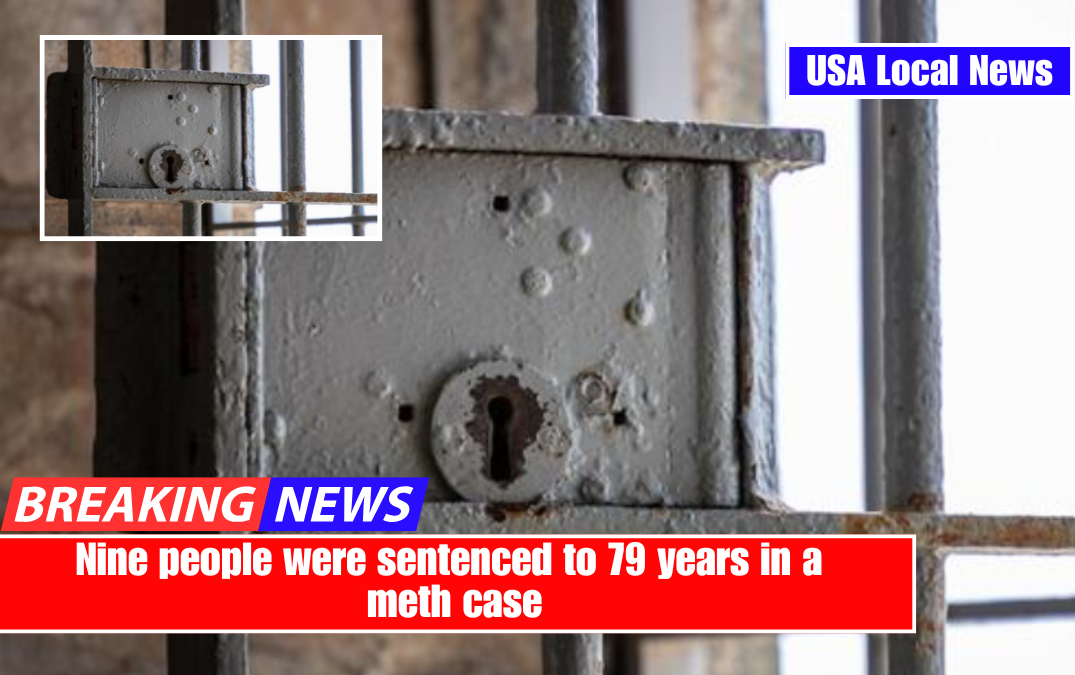 Nine people were sentenced to 79 years in a meth case