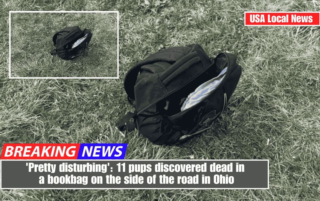 'Pretty disturbing': 11 pups discovered dead in a bookbag on the side of the road in Ohio