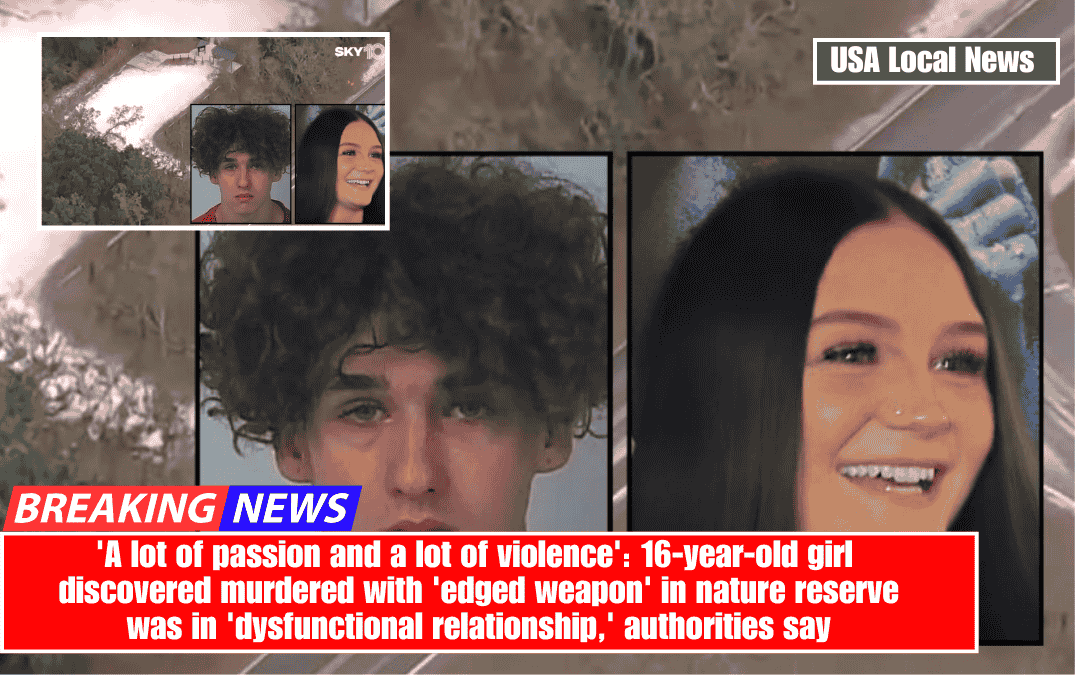 'A lot of passion and a lot of violence': 16-year-old girl discovered murdered with 'edged weapon' in nature reserve was in 'dysfunctional relationship,' authorities say