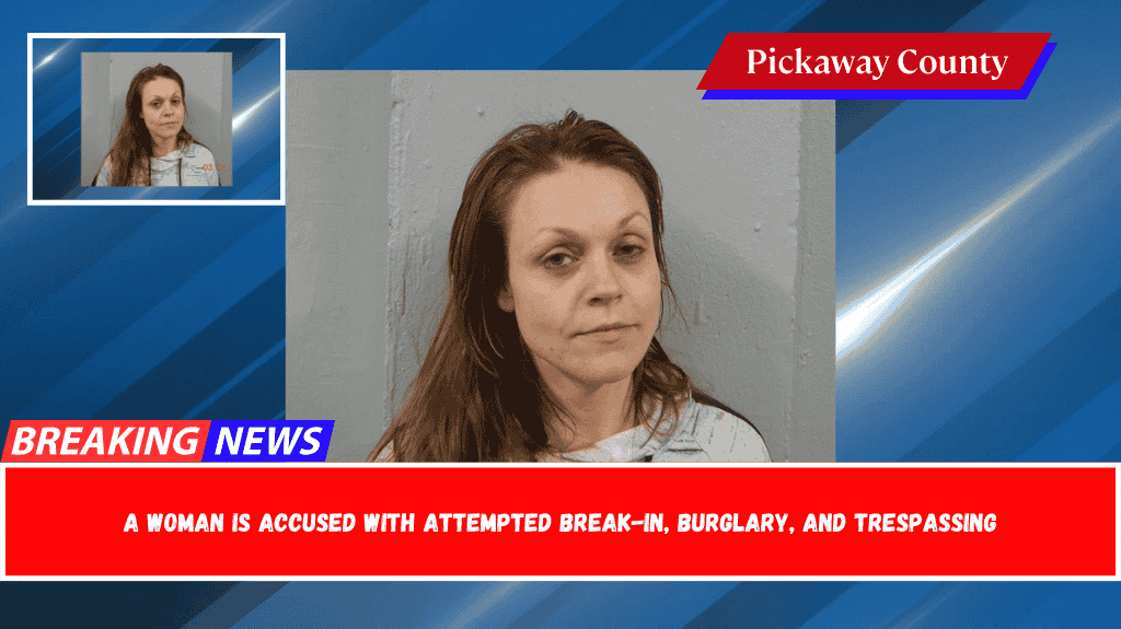 A woman is accused with attempted break-in, burglary, and trespassing