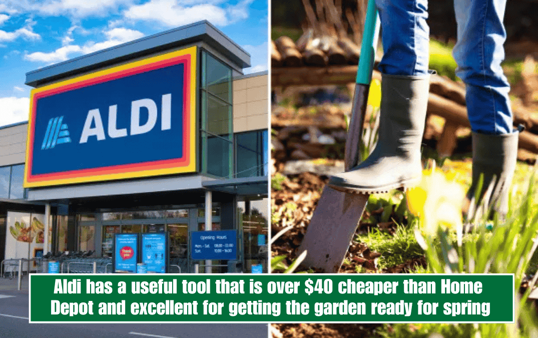 Aldi has a useful tool that is over $40 cheaper than Home Depot and excellent for getting the garden ready for spring