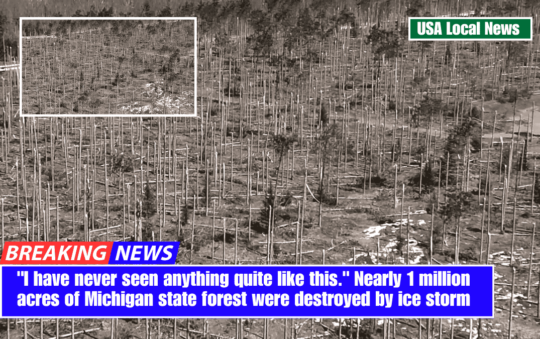 "I have never seen anything quite like this." Nearly 1 million acres of Michigan state forest were destroyed by ice storm