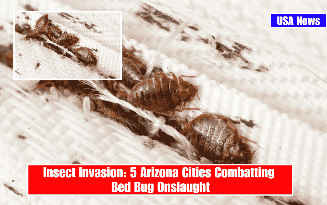 Insect Invasion: 5 Arizona Cities Combatting Bed Bug Onslaught