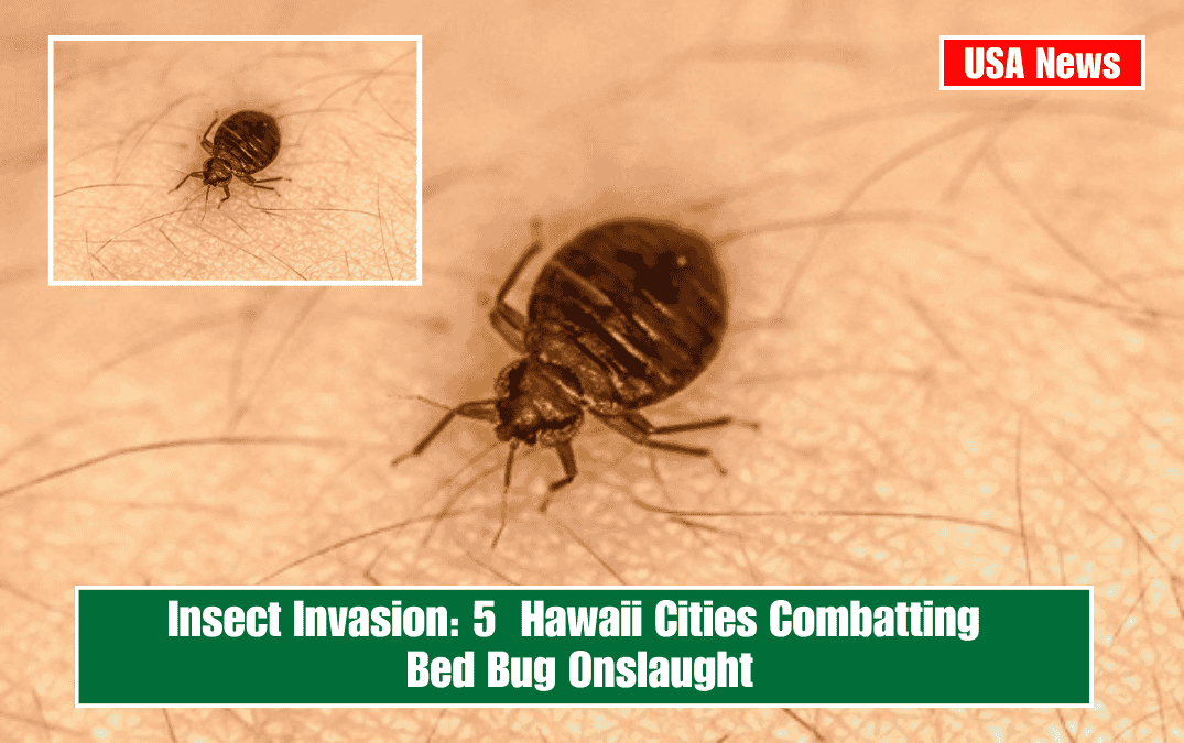 Insect Invasion: 5 Hawaii Cities Combatting Bed Bug Onslaught