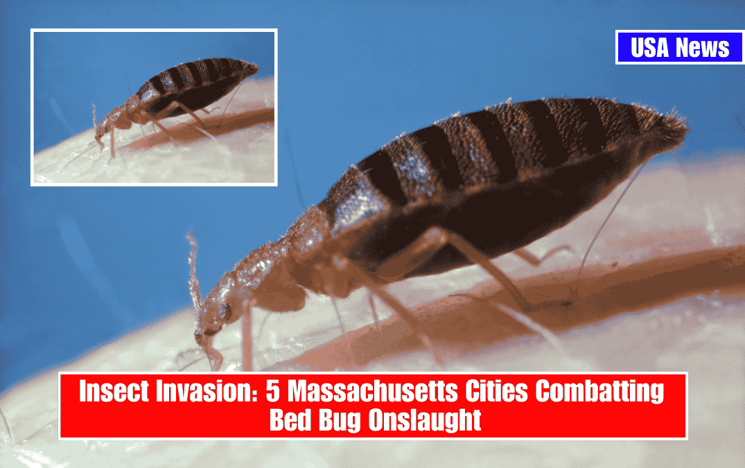 Insect Invasion: 5 Massachusetts Cities Combatting Bed Bug Onslaught
