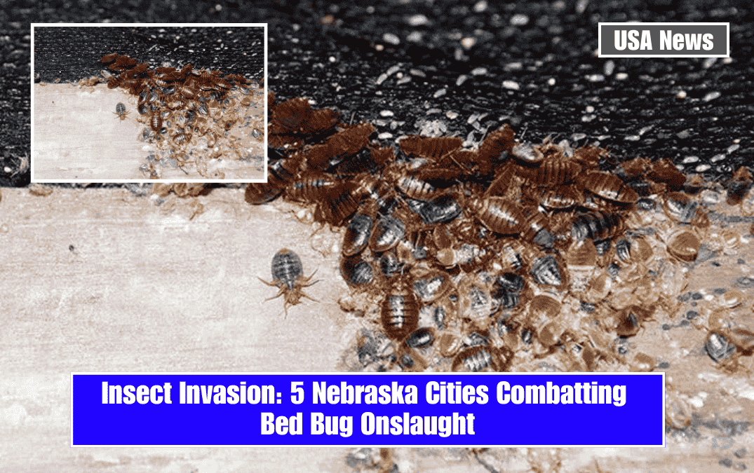 Insect Invasion: 5 Nebraska Cities Combatting Bed Bug Onslaught