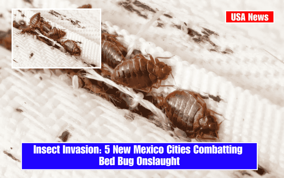 Insect Invasion: 5 New Mexico Cities Combatting Bed Bug Onslaught