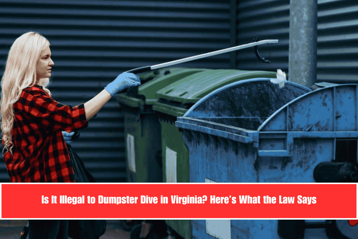 Is It Illegal to Dumpster Dive in Virginia Here’s What the Law Says