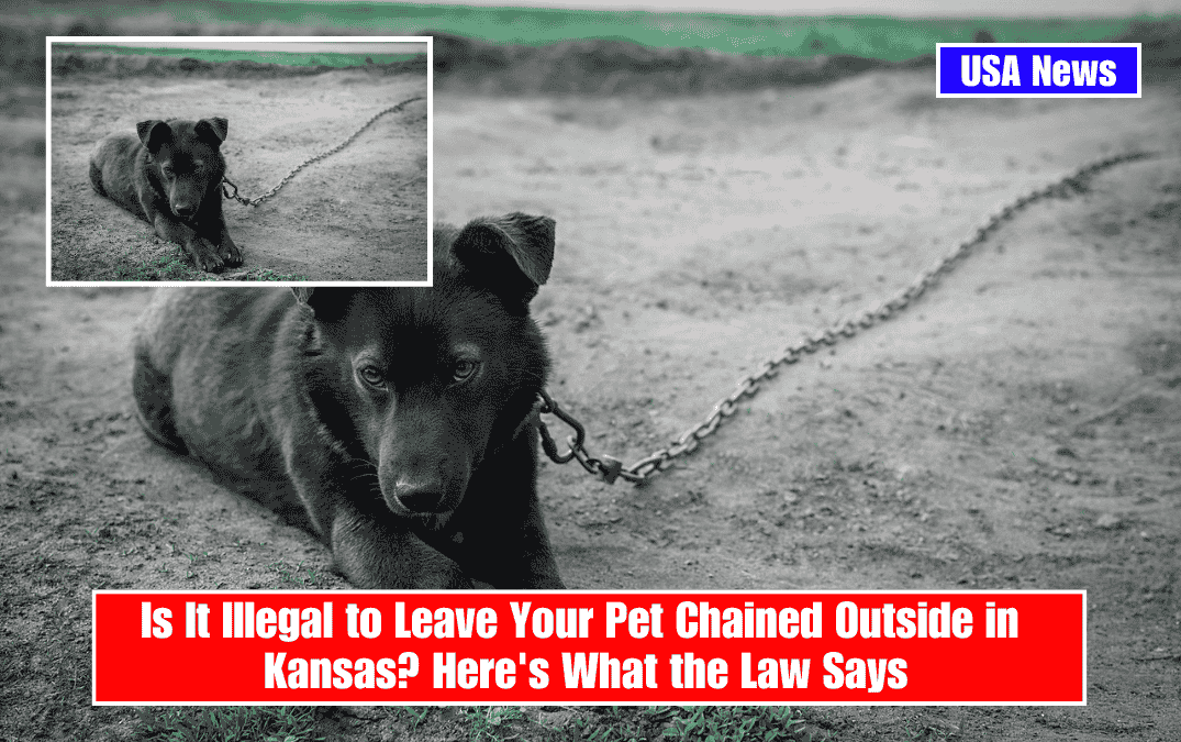 Is It Illegal to Leave Your Pet Chained Outside in Kansas? Here's What the Law Says