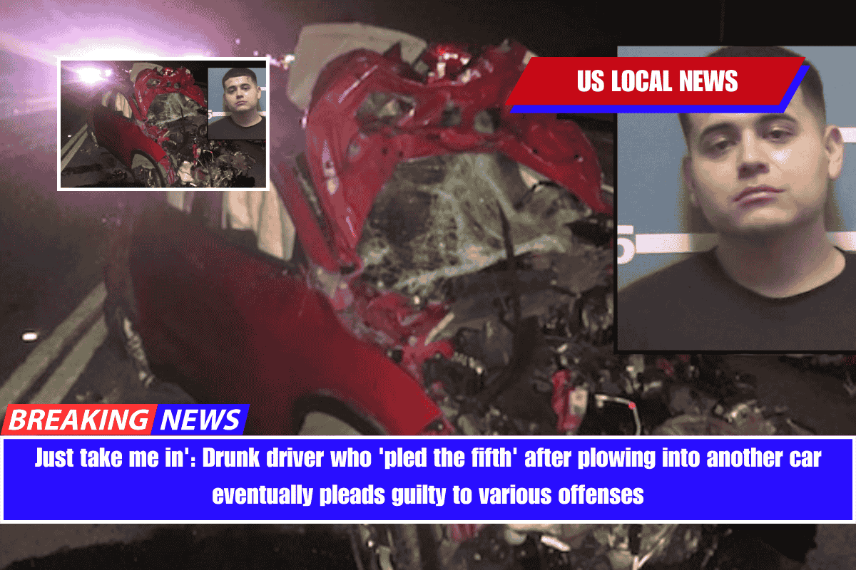Just take me in' Drunk driver who 'pled the fifth' after plowing into another car eventually pleads guilty to various offenses