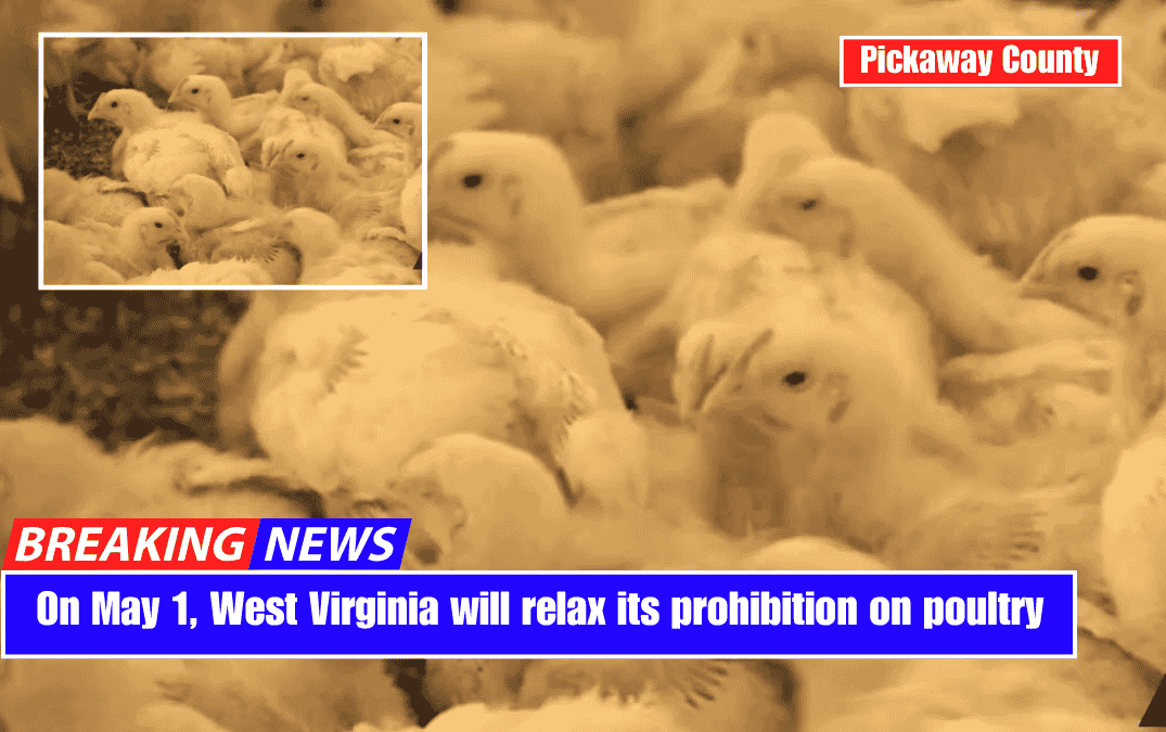 On May 1, West Virginia will relax its prohibition on poultry