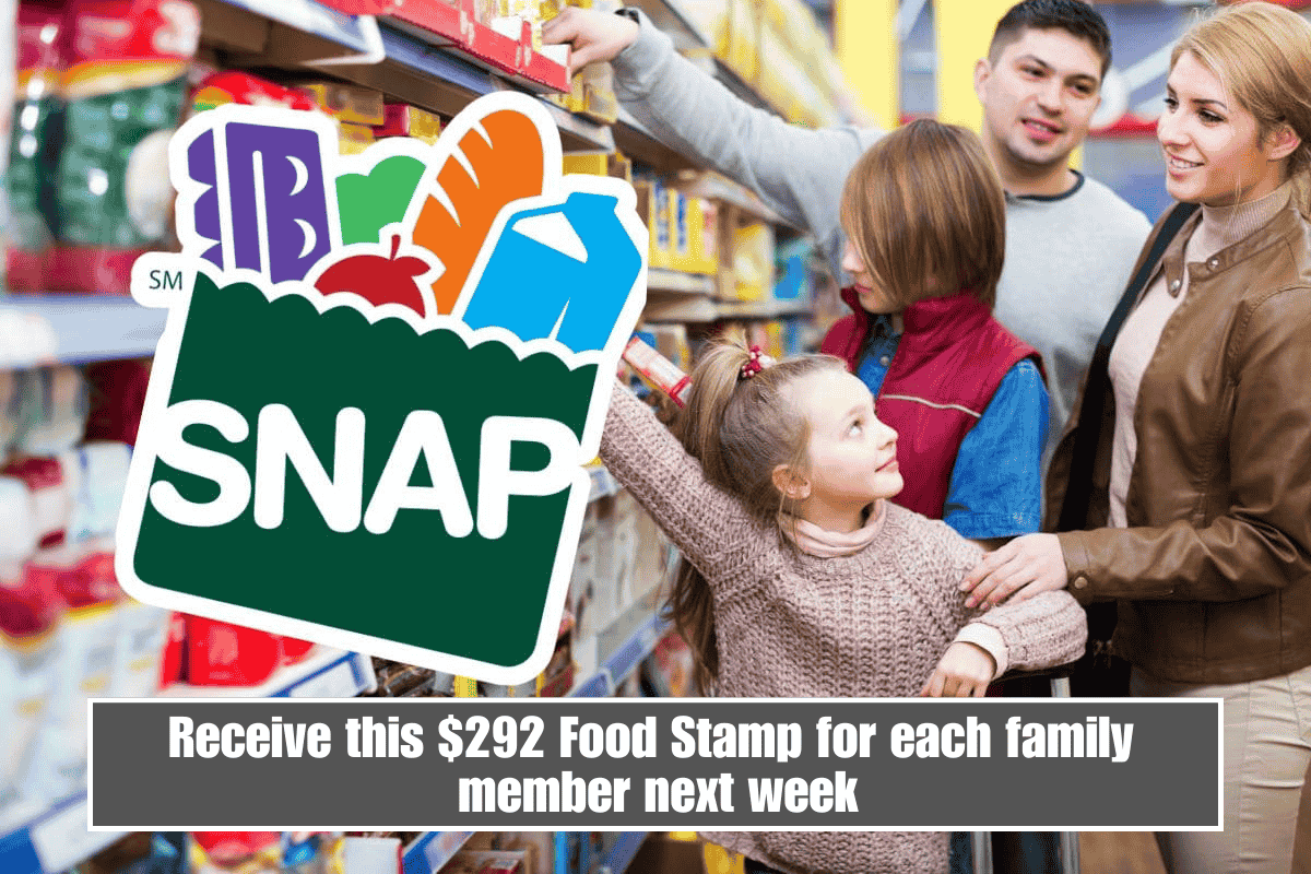 Receive this $292 Food Stamp for each family member next week