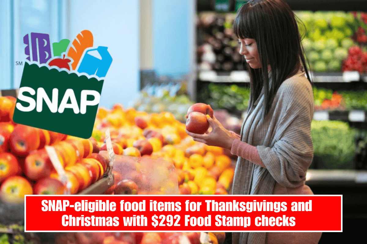 SNAP-eligible food items for Thanksgivings and Christmas with $292 Food Stamp checks
