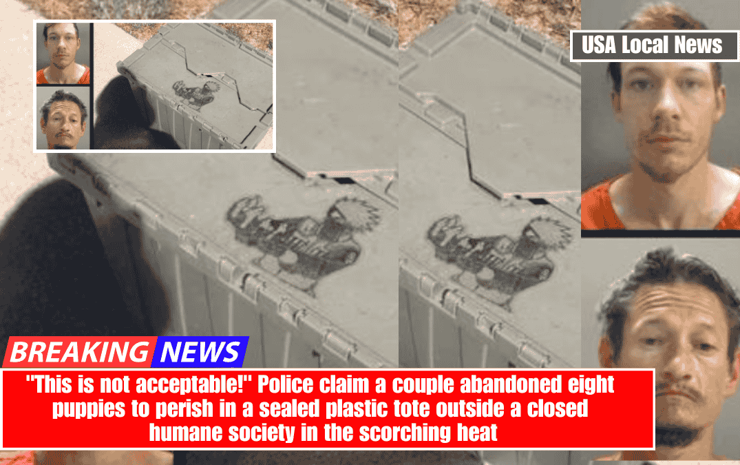 "This is not acceptable!" Police claim a couple abandoned eight puppies to perish in a sealed plastic tote outside a closed humane society in the scorching heat