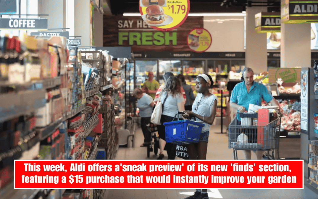 This week, Aldi offers a'sneak preview' of its new 'finds' section, featuring a $15 purchase that would instantly improve your garden