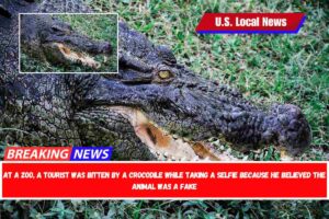 At a zoo, a tourist was bitten by a crocodile while taking a selfie because he believed the animal was a fake