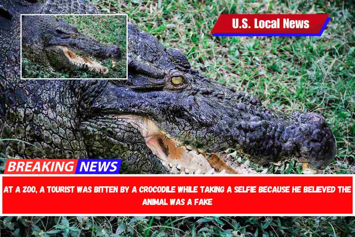 At a zoo, a tourist was bitten by a crocodile while taking a selfie because he believed the animal was a fake