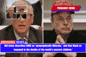 Bill Gates describes DOGE as 'geographically illiterate,' and Elon Musk as 'engaged in the deaths of the world's poorest children.'