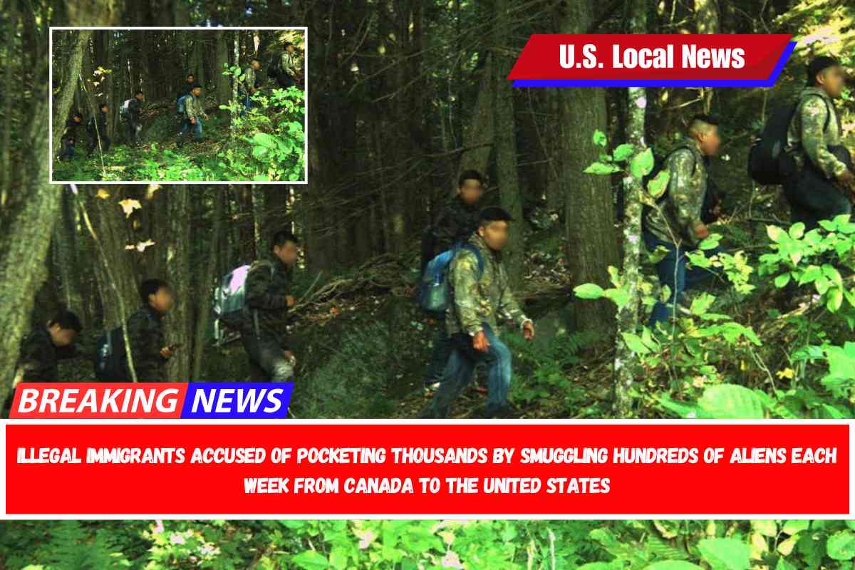 Illegal immigrants accused of pocketing thousands by smuggling hundreds of aliens each week from Canada to the United States