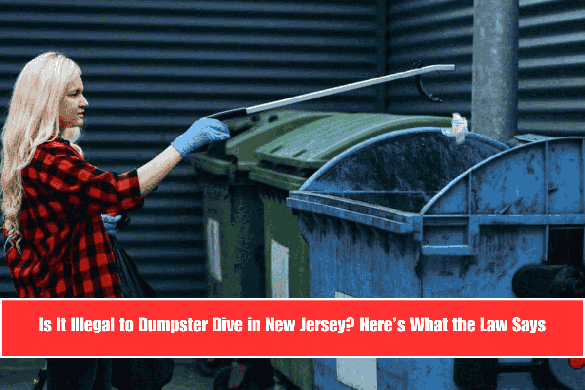 Is It Illegal to Dumpster Dive in New Jersey Here’s What the Law Says