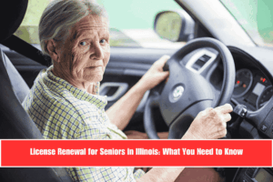 License Renewal for Seniors in Illinois What You Need to Know