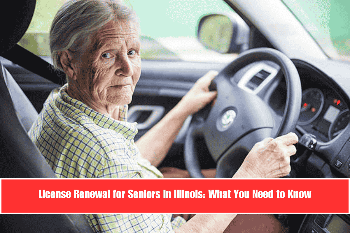 License Renewal for Seniors in Illinois What You Need to Know