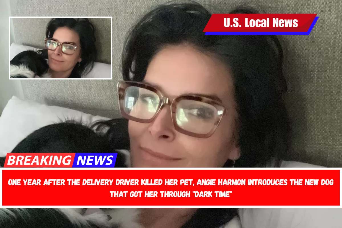 One year after the delivery driver killed her pet, Angie Harmon introduces the new dog that got her through dark time