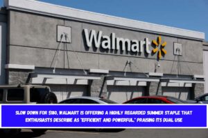 SLOW DOWN For $180, Walmart is offering a highly regarded summer staple that enthusiasts describe as efficient and powerful, praising its dual use