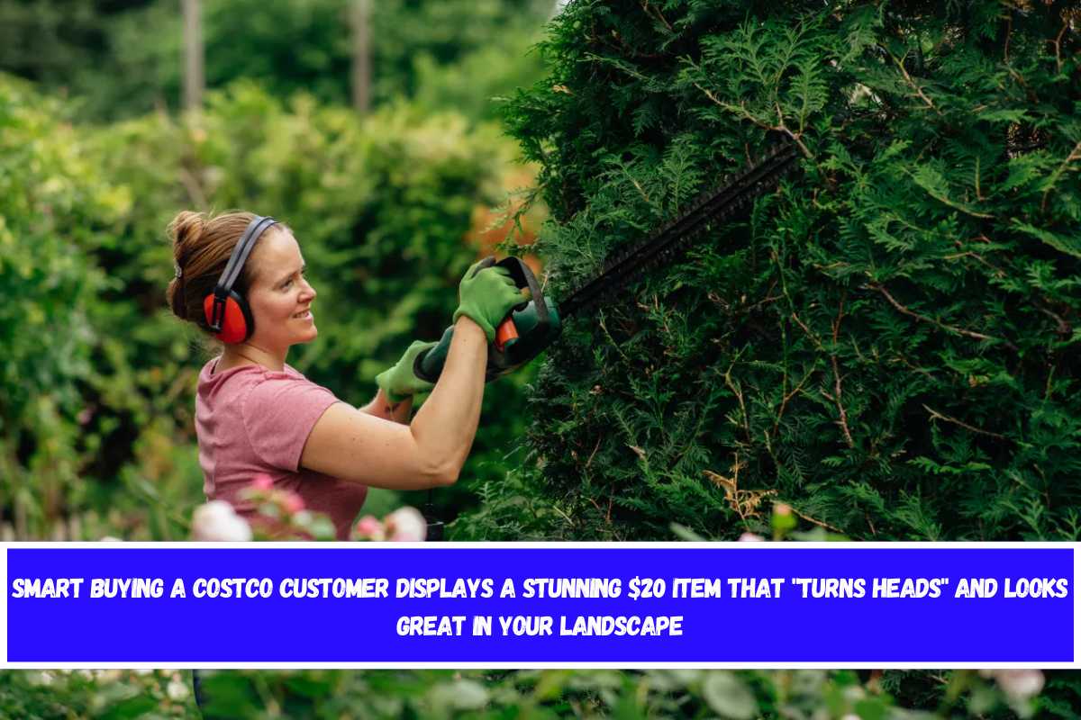 SMART BUYING A Costco customer displays a stunning $20 item that turns heads and looks great in your landscape