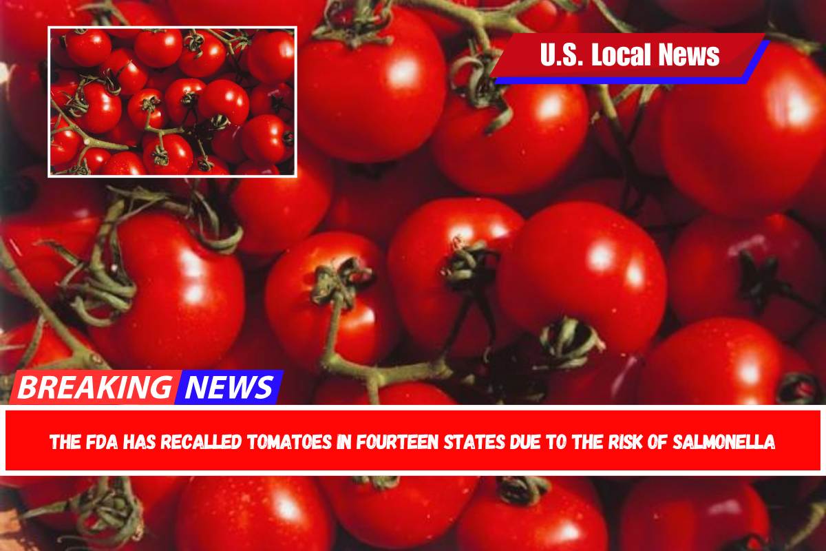 The FDA has recalled tomatoes in fourteen states due to the risk of salmonella